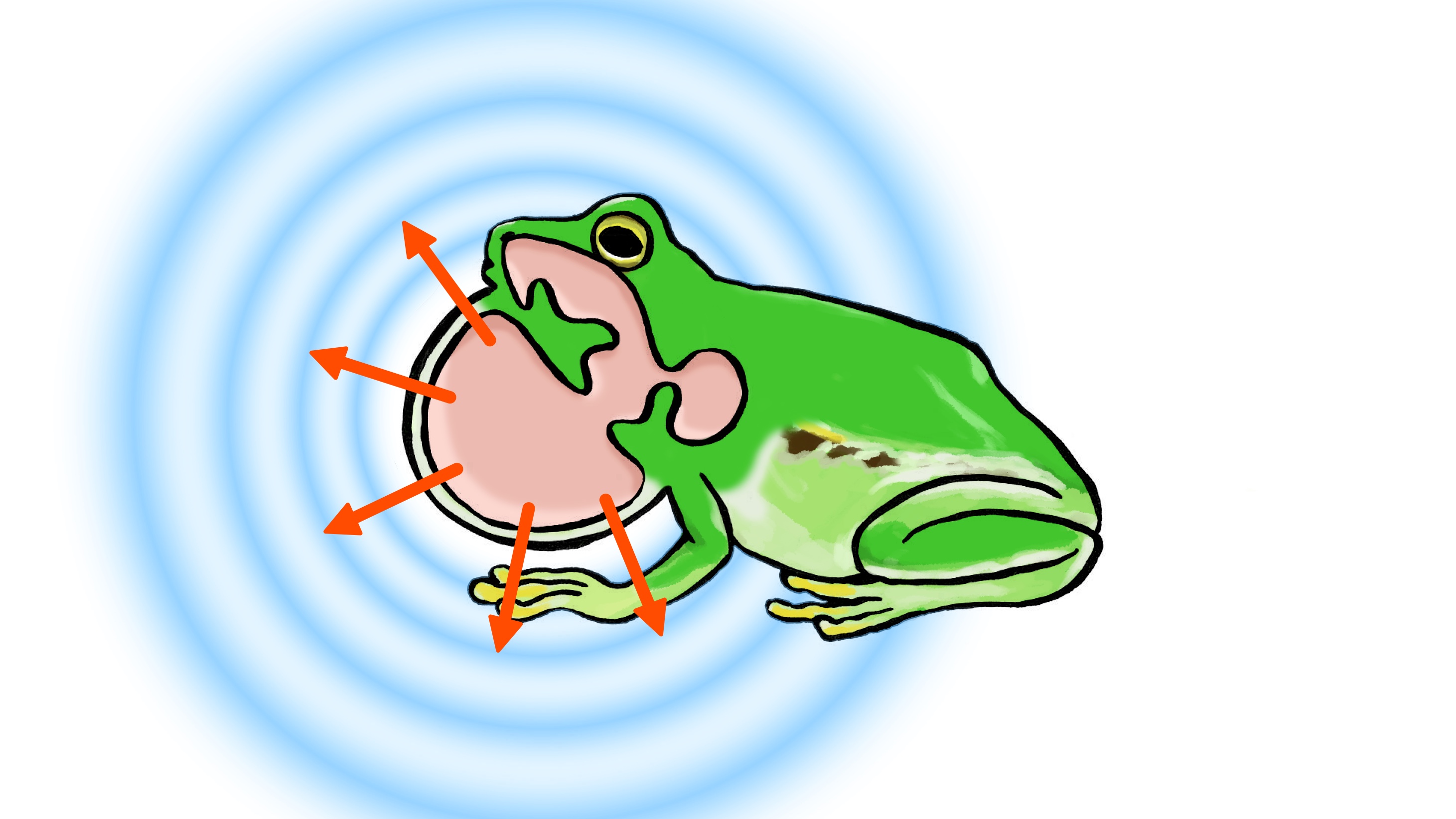 なりきり！むーにゃん生きもの学園